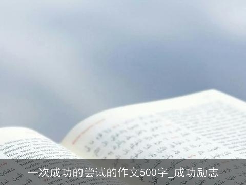 一次成功的尝试的作文500字_成功励志