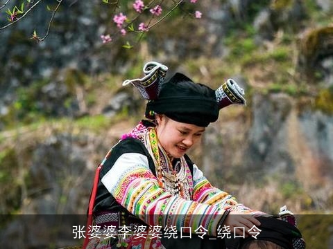 张婆婆李婆婆绕口令_绕口令