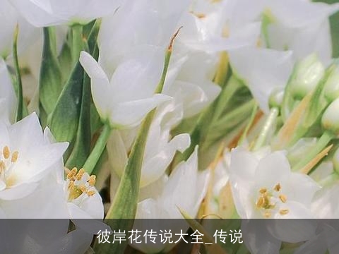 彼岸花传说大全_传说