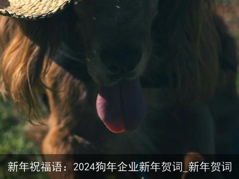 新年祝福语：2024狗年企业新年贺词_新年贺词