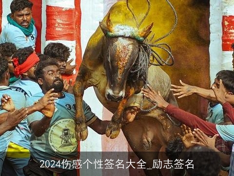 2024伤感个性签名大全_励志签名