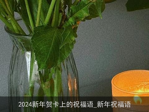 2024新年贺卡上的祝福语_新年祝福语