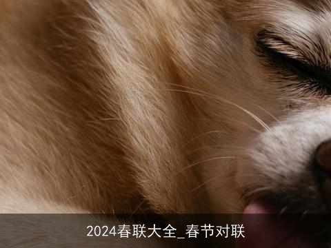 2024春联大全_春节对联