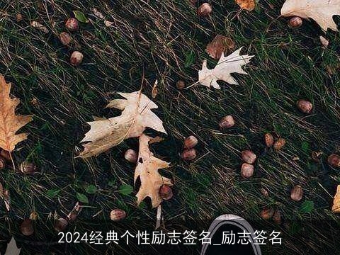 2024经典个性励志签名_励志签名