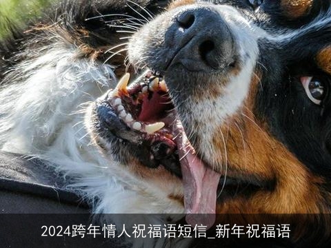 2024跨年情人祝福语短信_新年祝福语