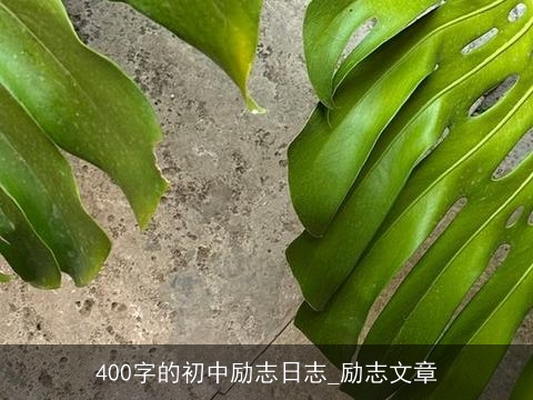 400字的初中励志日志_励志文章