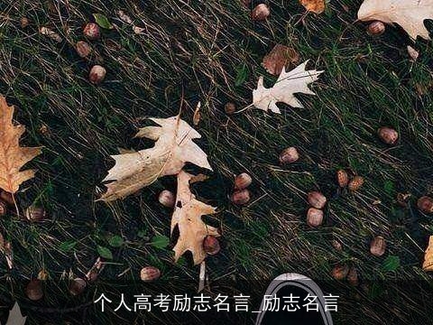 个人高考励志名言_励志名言