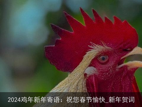 2024鸡年新年寄语：祝您春节愉快_新年贺词