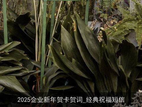 2025企业新年贺卡贺词_经典祝福短信