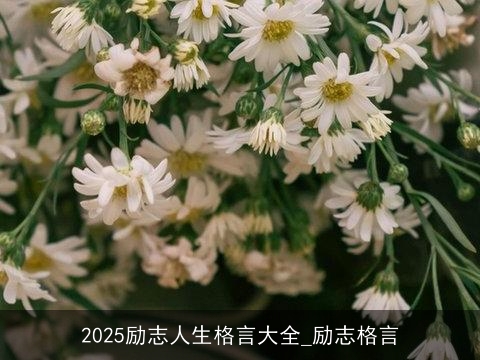 2025励志人生格言大全_励志格言