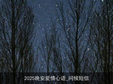 2025晚安爱情心语_问候短信