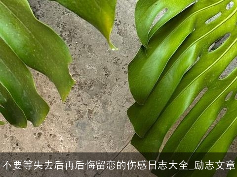 不要等失去后再后悔留恋的伤感日志大全_励志文章