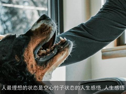 人最理想的状态是空心竹子状态的人生感悟_人生感悟