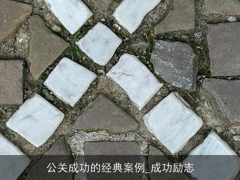 公关成功的经典案例_成功励志