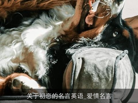 关于初恋的名言英语_爱情名言