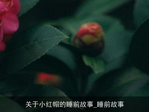 关于小红帽的睡前故事_睡前故事