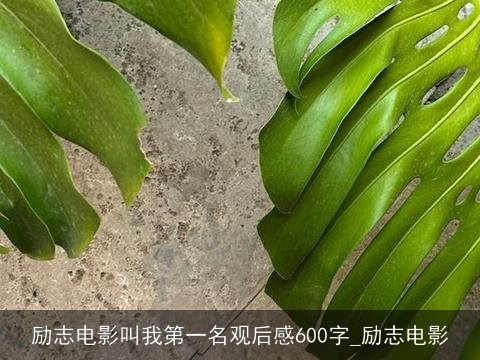 励志电影叫我第一名观后感600字_励志电影