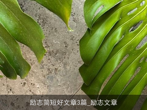 励志简短好文章3篇_励志文章