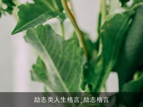 励志类人生格言_励志格言