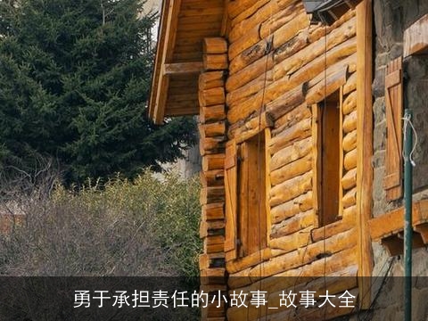 勇于承担责任的小故事_故事大全