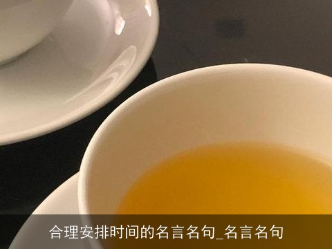 合理安排时间的名言名句_名言名句