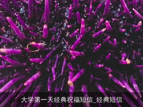 大学第一天经典祝福短信_经典短信