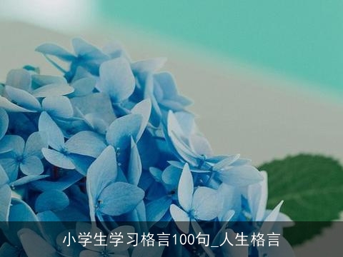 小学生学习格言100句_人生格言