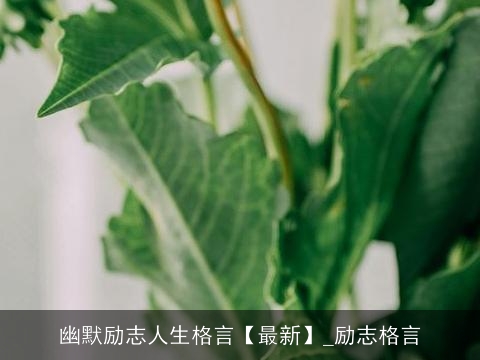 幽默励志人生格言【最新】_励志格言