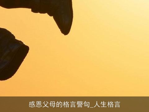 感恩父母的格言警句_人生格言