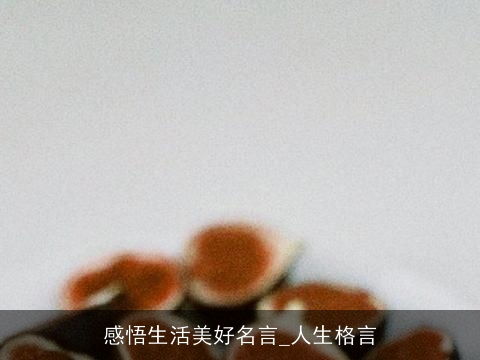 感悟生活美好名言_人生格言