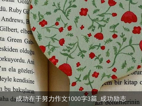 成功在于努力作文1000字3篇_成功励志