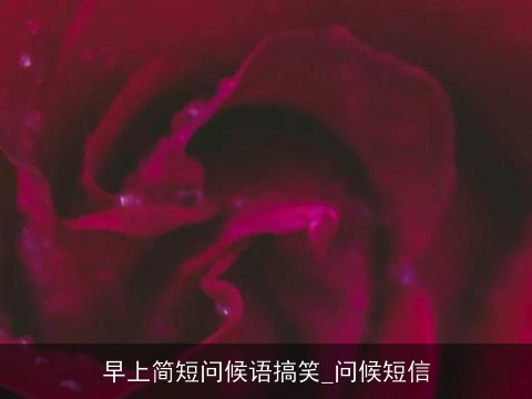 早上简短问候语搞笑_问候短信