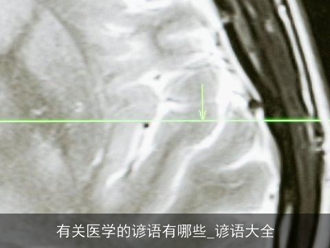 有关医学的谚语有哪些_谚语大全