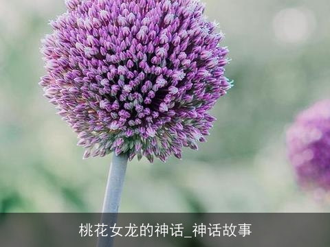 桃花女龙的神话_神话故事