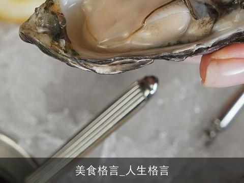 美食格言_人生格言