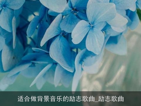 适合做背景音乐的励志歌曲_励志歌曲