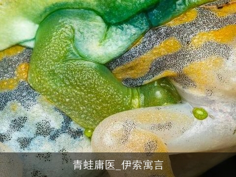 青蛙庸医_伊索寓言