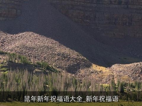 鼠年新年祝福语大全_新年祝福语